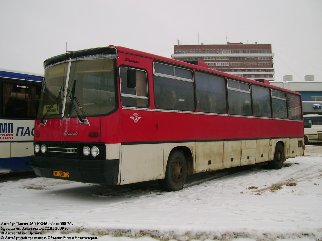 Ярославская область, Ikarus 250.59 № 245