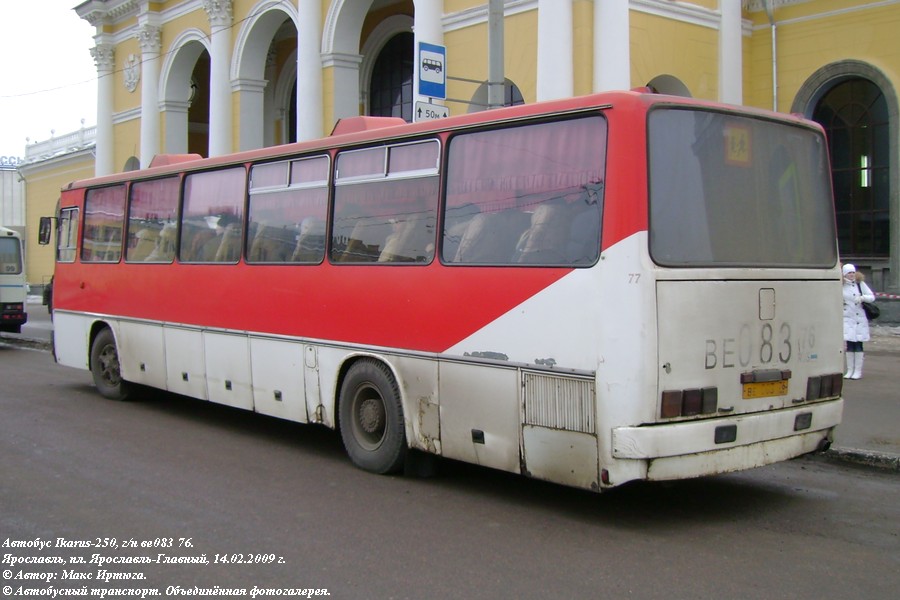 Ярославская область, Ikarus 250.59 № 77