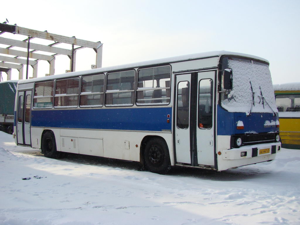 Архангельская область, Ikarus 260.51F № АС 447 29