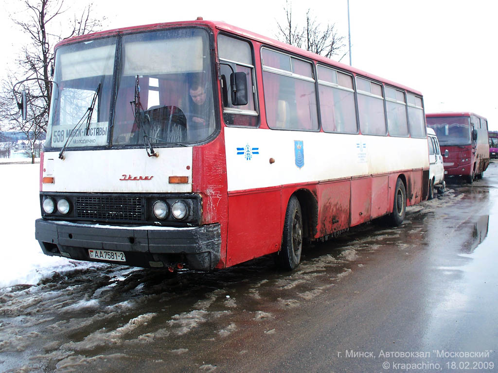 Витебская область, Ikarus 256 № 20117