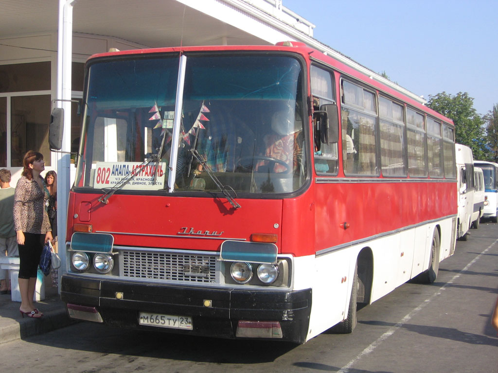 Расписание автобусов тихорецк анапа. Краснодарский край.Икарус 256.автобус. Икарус Ростов Волгодонск.