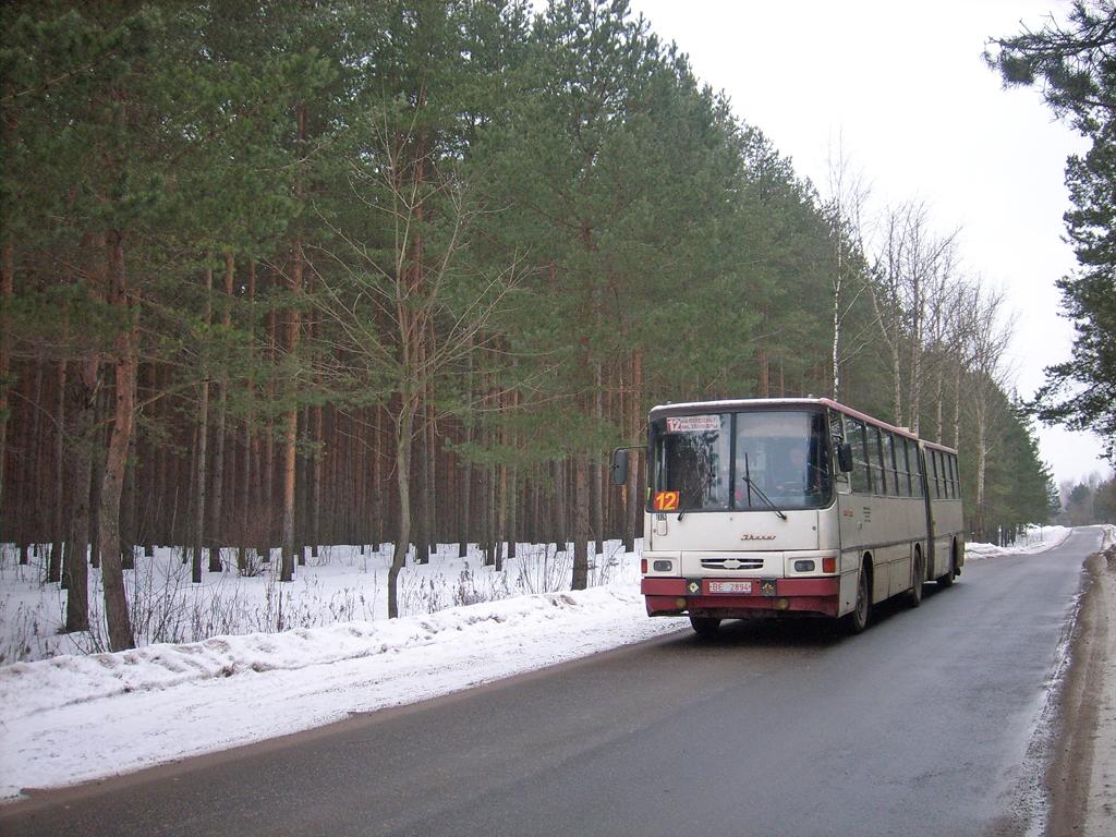 Витебская область, Ikarus 280.26 № 010065