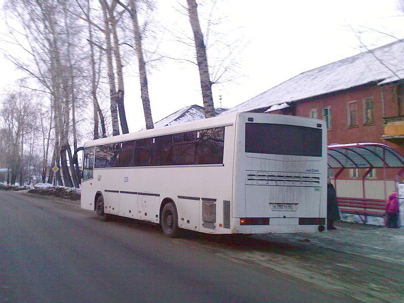 Kemerovo region - Kuzbass, NefAZ-5299-10-17 Nr. 239