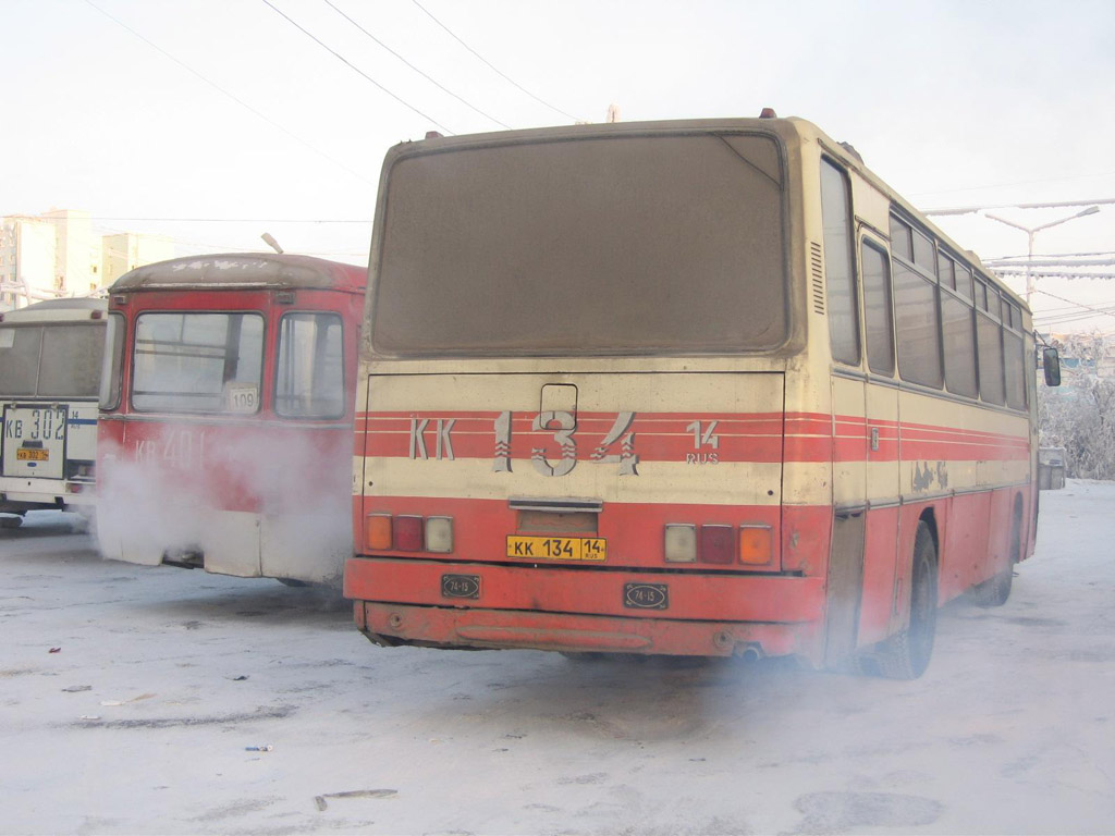 Sachos Respublika (Jakutija), Ikarus 256.75 Nr. КК 134 14; Sachos Respublika (Jakutija), LiAZ-677M (ToAZ) Nr. КВ 401 14