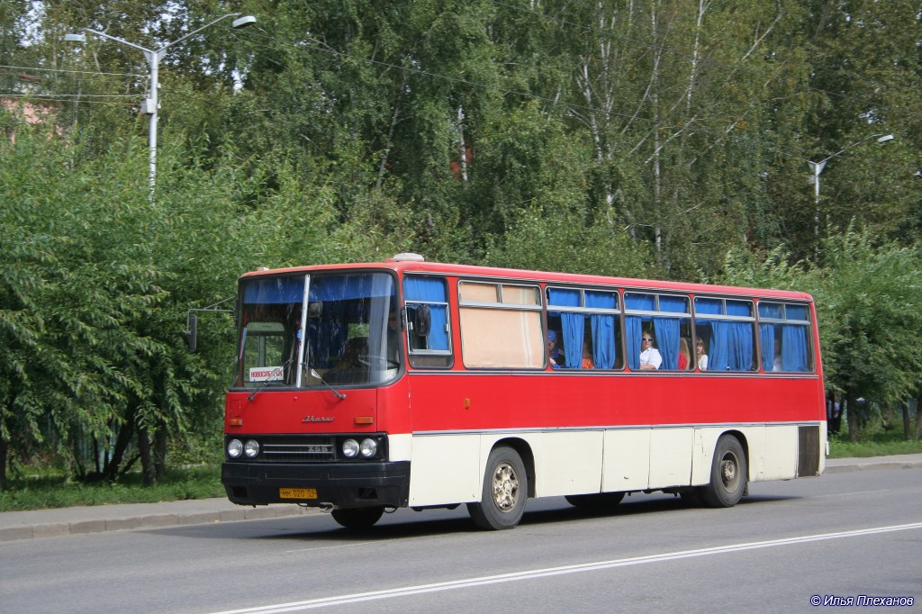 Новосибирская область, Ikarus 256.74 № 4225