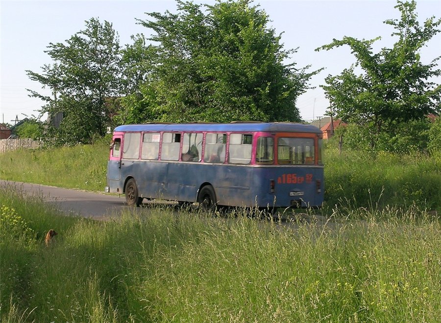 Нижегородская область, ЛиАЗ-677М № 31074