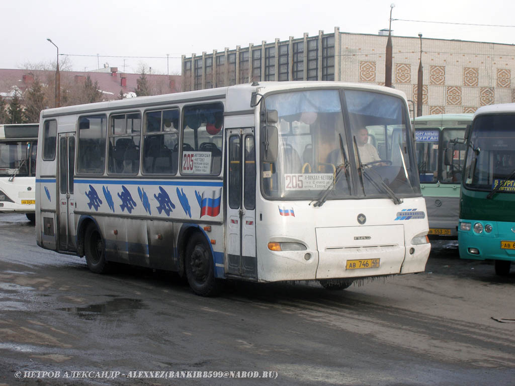 Курганская область, ПАЗ-4230-01 (2-2) № АВ 746 45