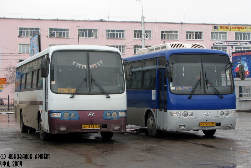 Челябинская область, Hyundai AeroTown (РЗГА) № 813