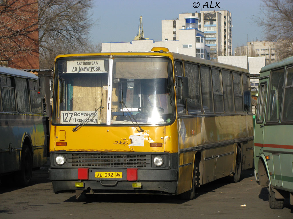 Воронежская область, Ikarus 280 № АЕ 092 36 — Фото — Автобусный транспорт