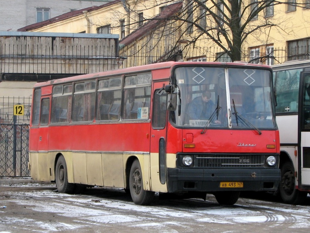 Ленинградская область, Ikarus 256.74 № АВ 493 47