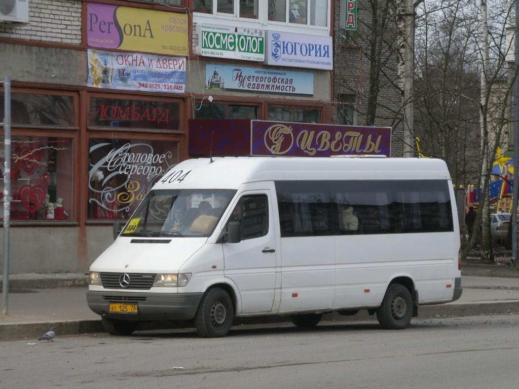 Санкт-Петербург, Mercedes-Benz Sprinter W903 308D № АТ 125 78