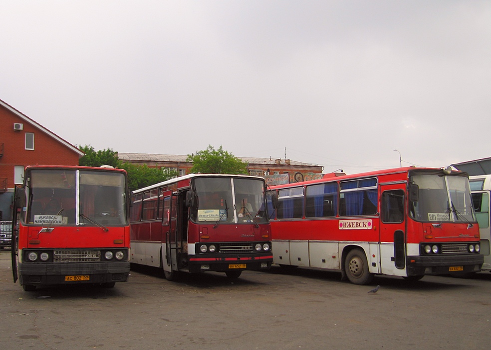 Пермский край, Ikarus 256.74 № АС 802 59; Удмуртия — Разные фотографии