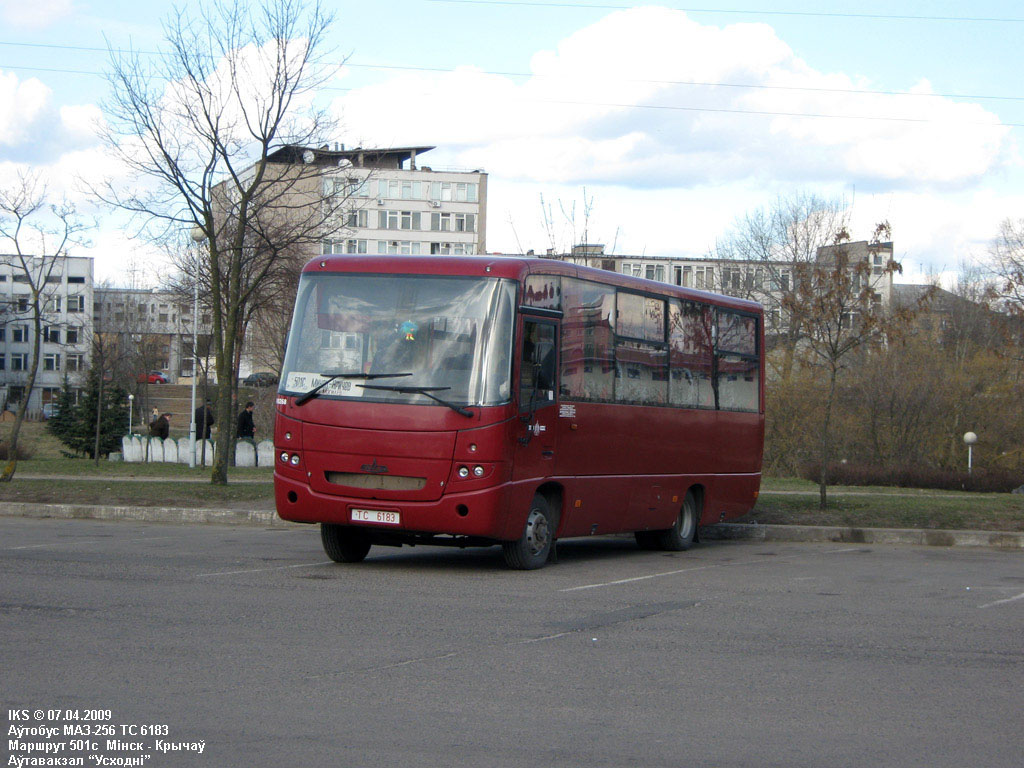 Могилёвская область, МАЗ-256.200 № 10268 — Фото — Автобусный транспорт