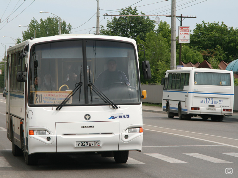 Краснодарский край, ПАЗ-4230-03 № У 829 ЕУ 93