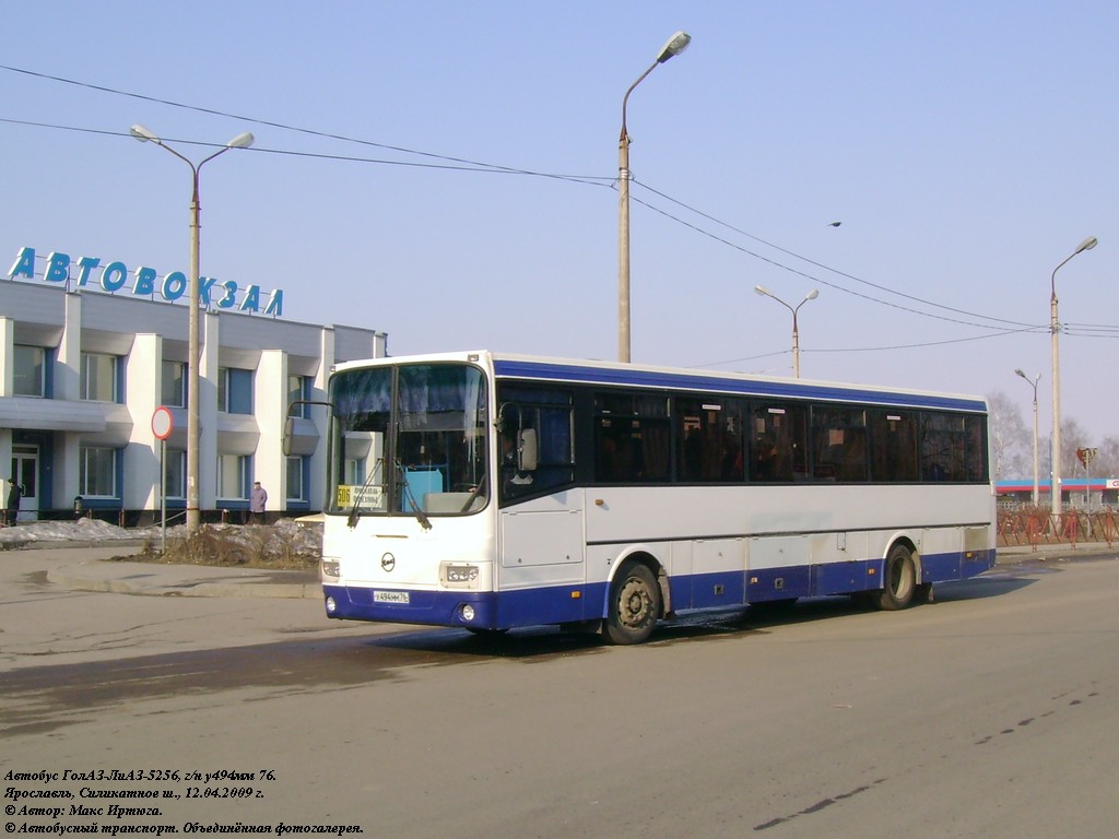 Ярославская область, ЛиАЗ-5256.23-01 (ГолАЗ) № 241