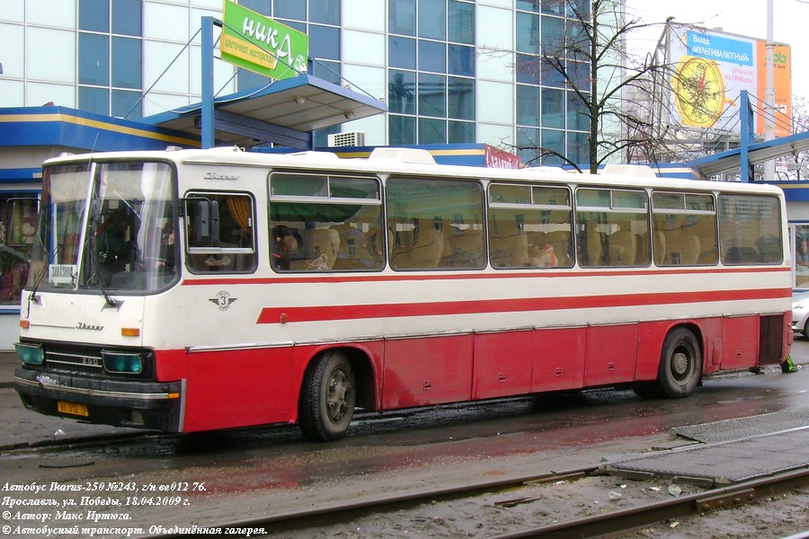 Ярославская область, Ikarus 250.95 № 243