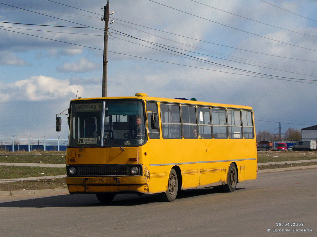 Новгородская область, Ikarus 260.50 № 61