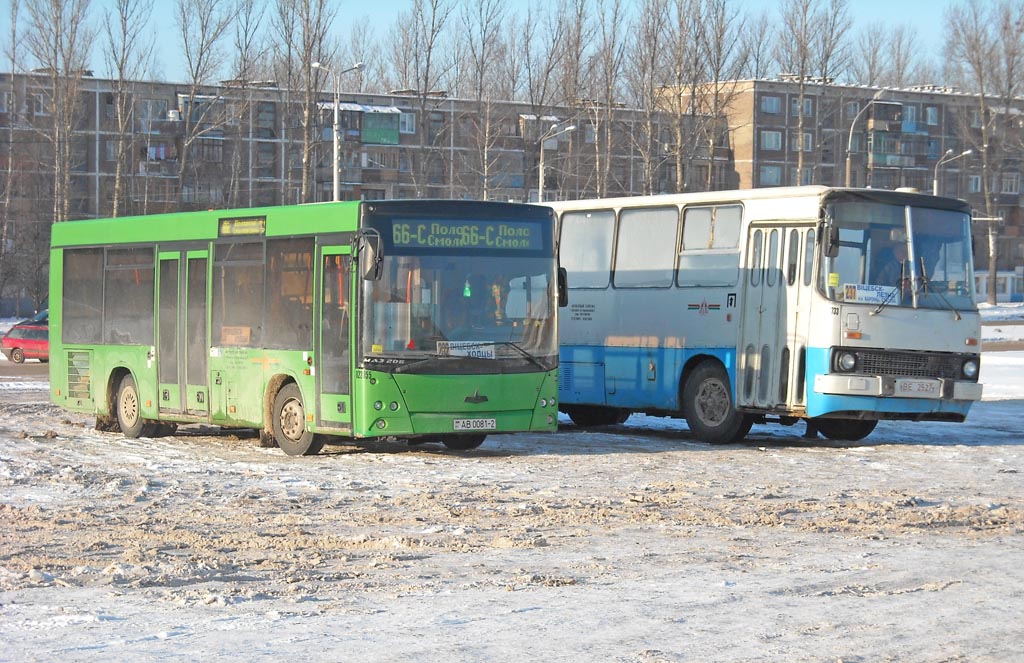 Vitebsk region, MAZ-206.060 # 022055