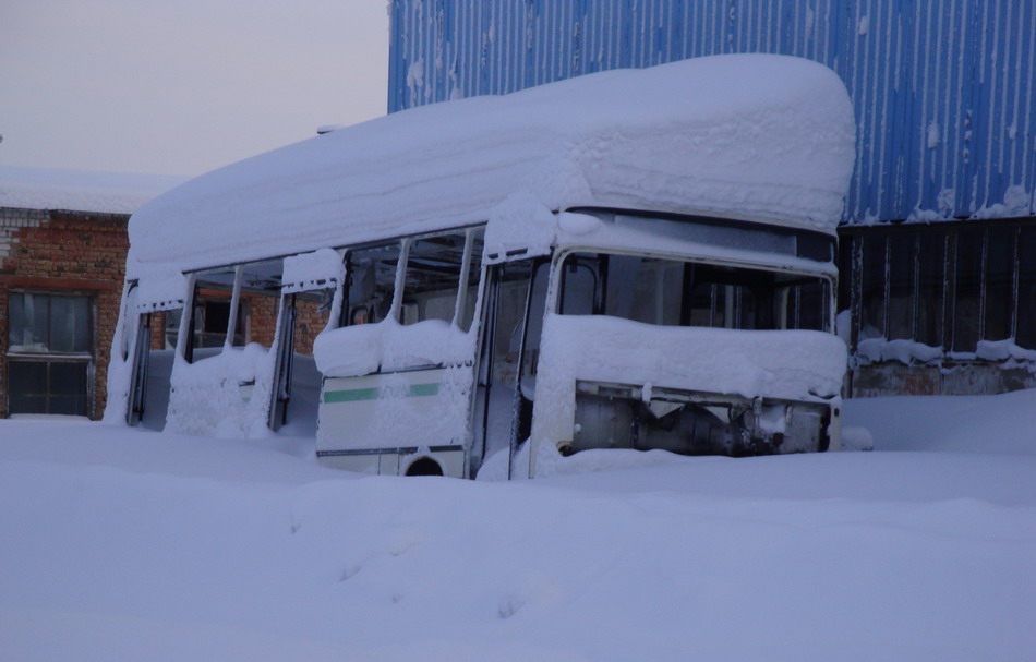 Коми, Ikarus 263.10 № 231; Коми — Разные фотографии