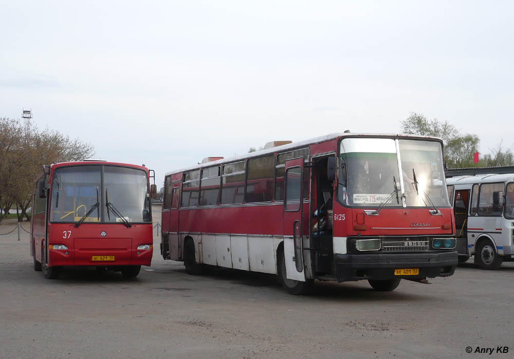 Марий Эл, ПАЗ-4230-03 (КАвЗ) № 37; Нижегородская область, Ikarus 250.59 № 6125