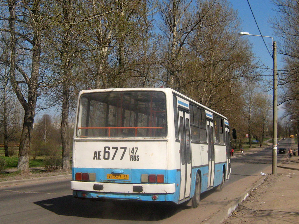 Ленинградская область, Ikarus 263.10 № АЕ 677 47