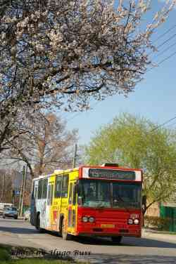 185 КБ