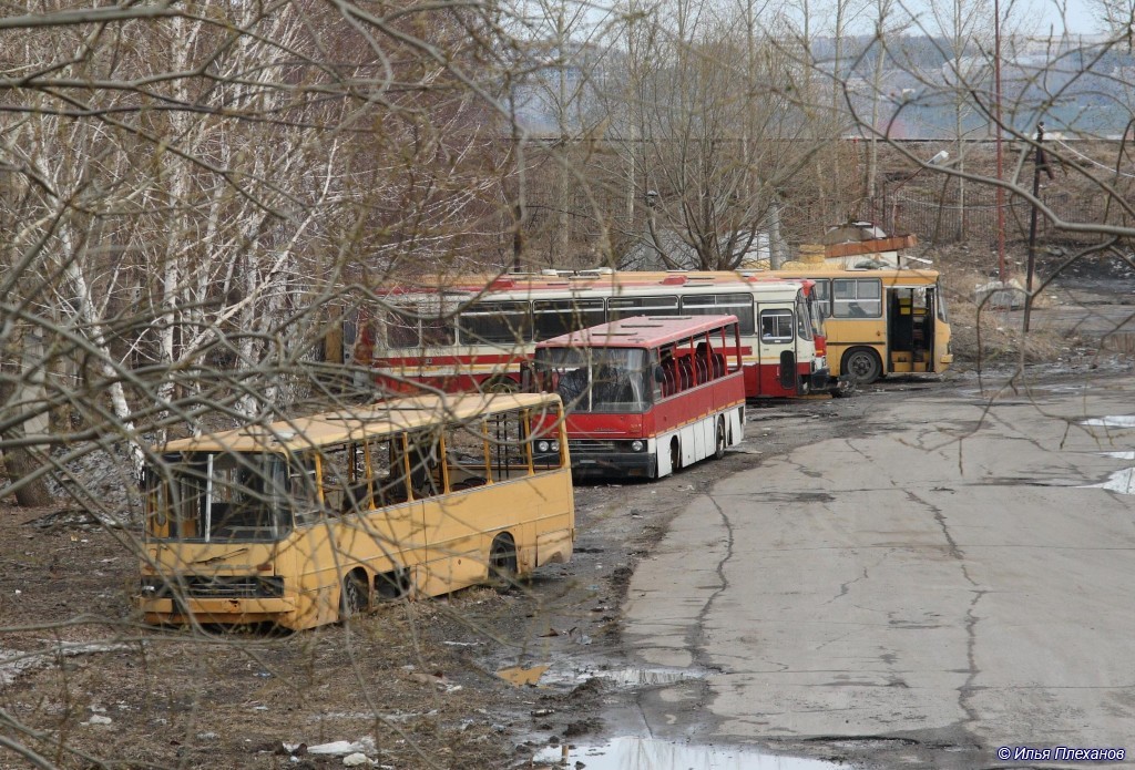 Томская область, Ikarus 260.50 № Е 337 АВ 70; Томская область, Ikarus 256 № А 336 КН 70; Томская область — Разные фотографии — Томск