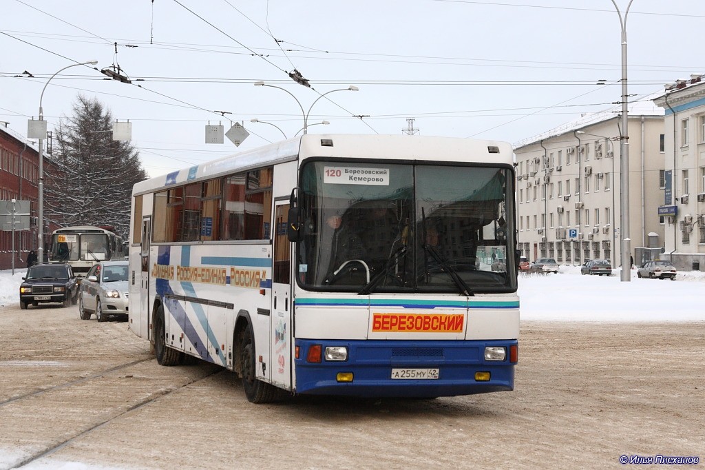 Kemerovo region - Kuzbass, NefAZ-5299-10-08 Nr. А 255 МУ 42