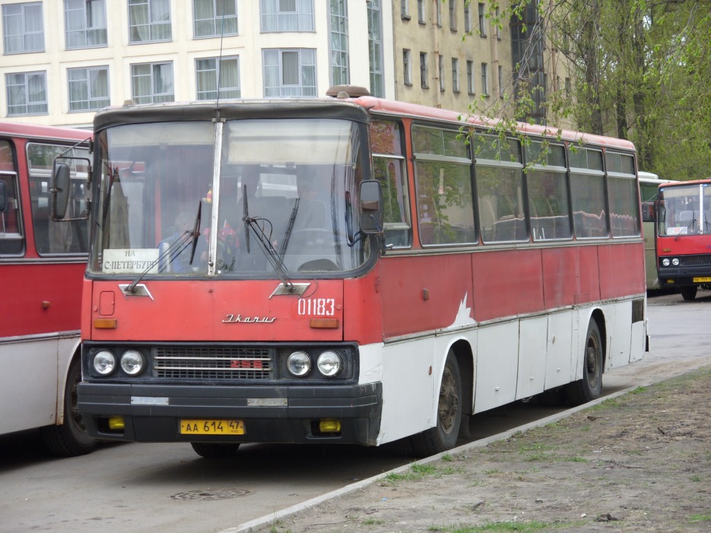 Ленинградская область, Ikarus 256.74 № 01183