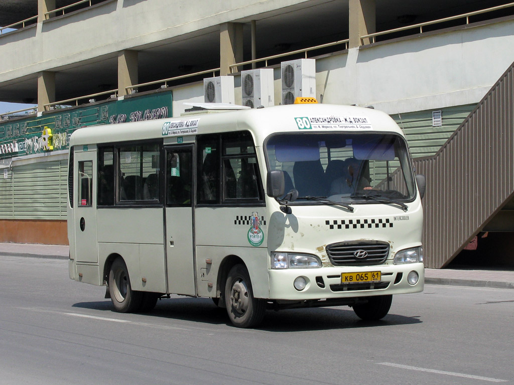 Ростовская область, Hyundai County SWB C08 (РЗГА) № 008