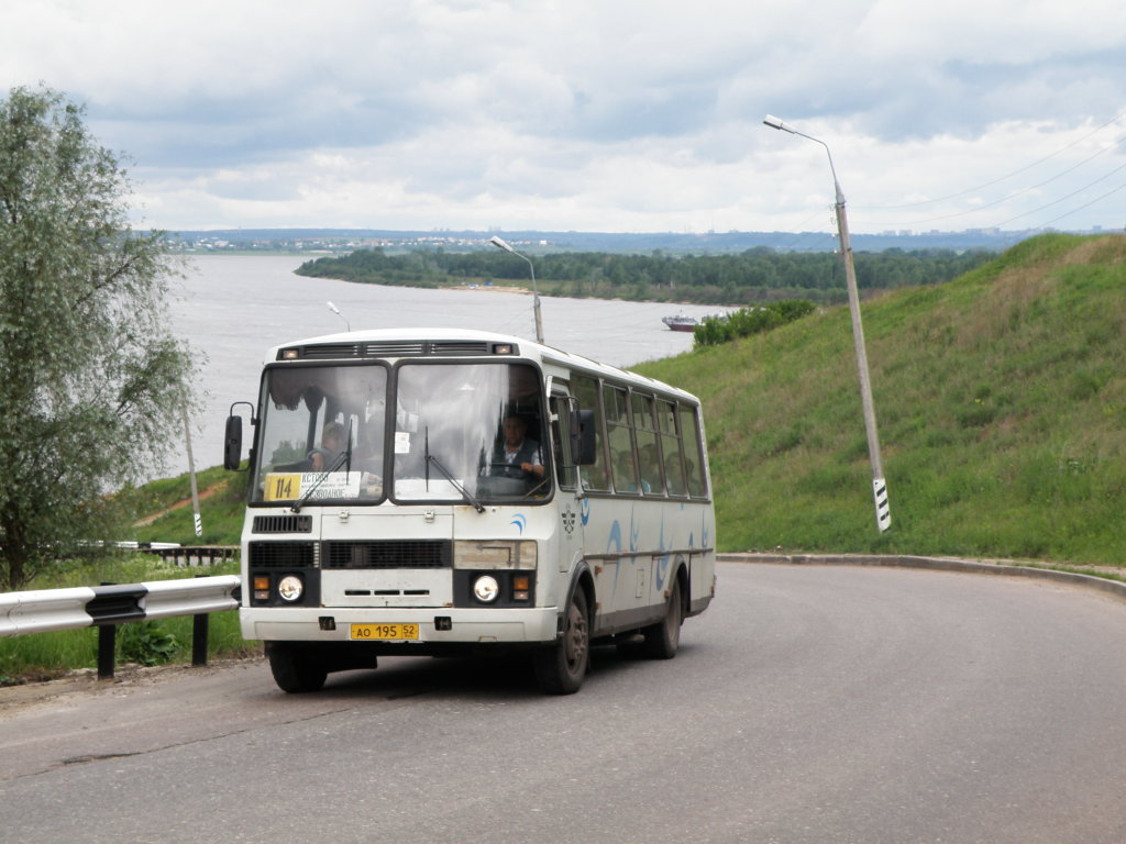 Нижегородская область, ПАЗ-4234 № 28