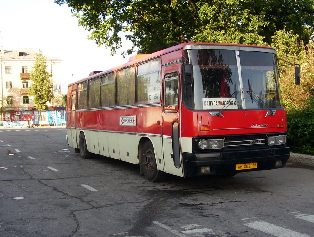 Воронежская область, Ikarus 250.59 № АМ 062 36