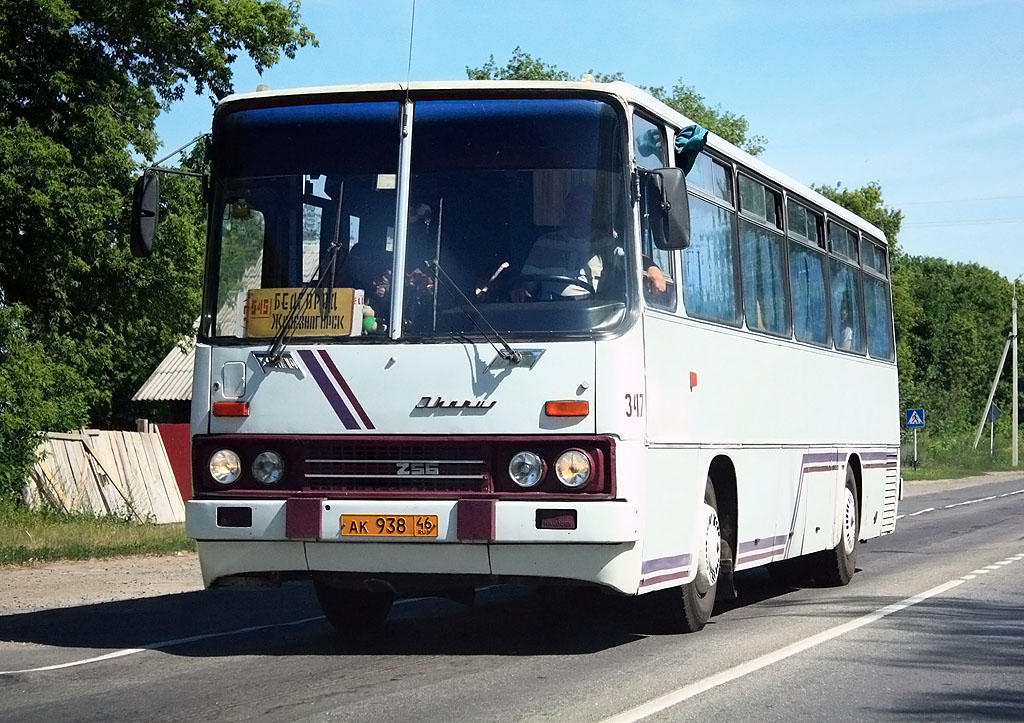 Автобус железногорск белгород. Ikarus 256 Белгород Железногорск. Ikarus 256 Курская область. Железногорск Курская область Икарус 250. Икарус 256.51 Курск.