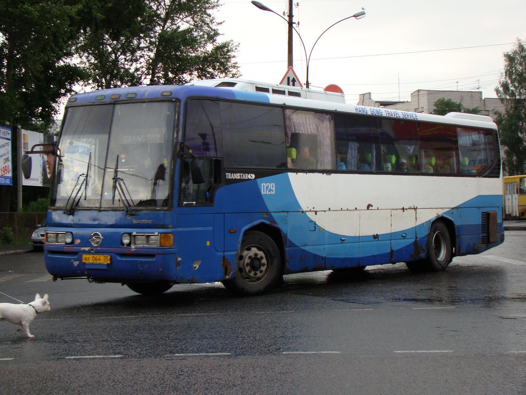 Вологодская область, SsangYong TransStar № 029