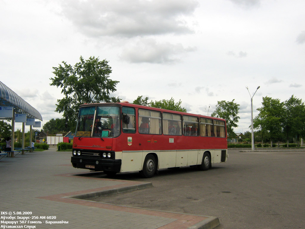 Брестская область, Ikarus 256 № 33070