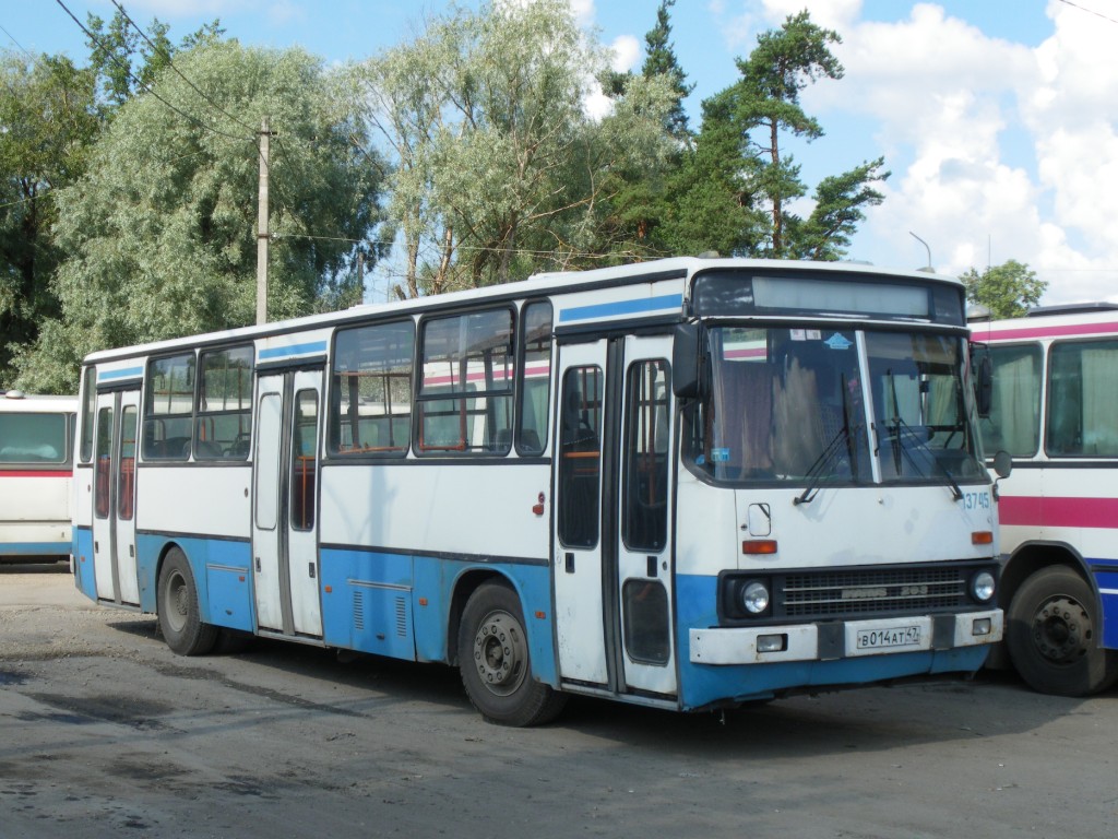 Ленинградская область, Ikarus 263.10 № 13745