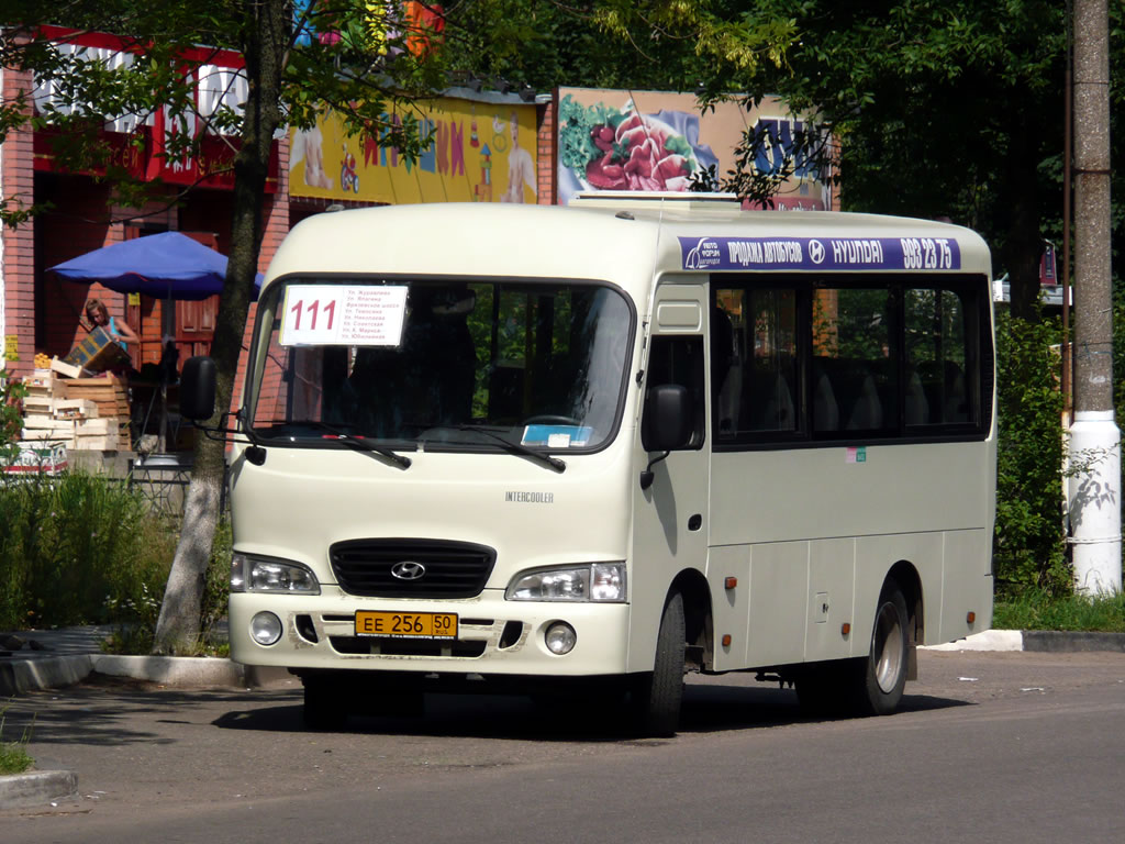 Московская область, Hyundai County SWB (РЗГА) № ЕЕ 256 50