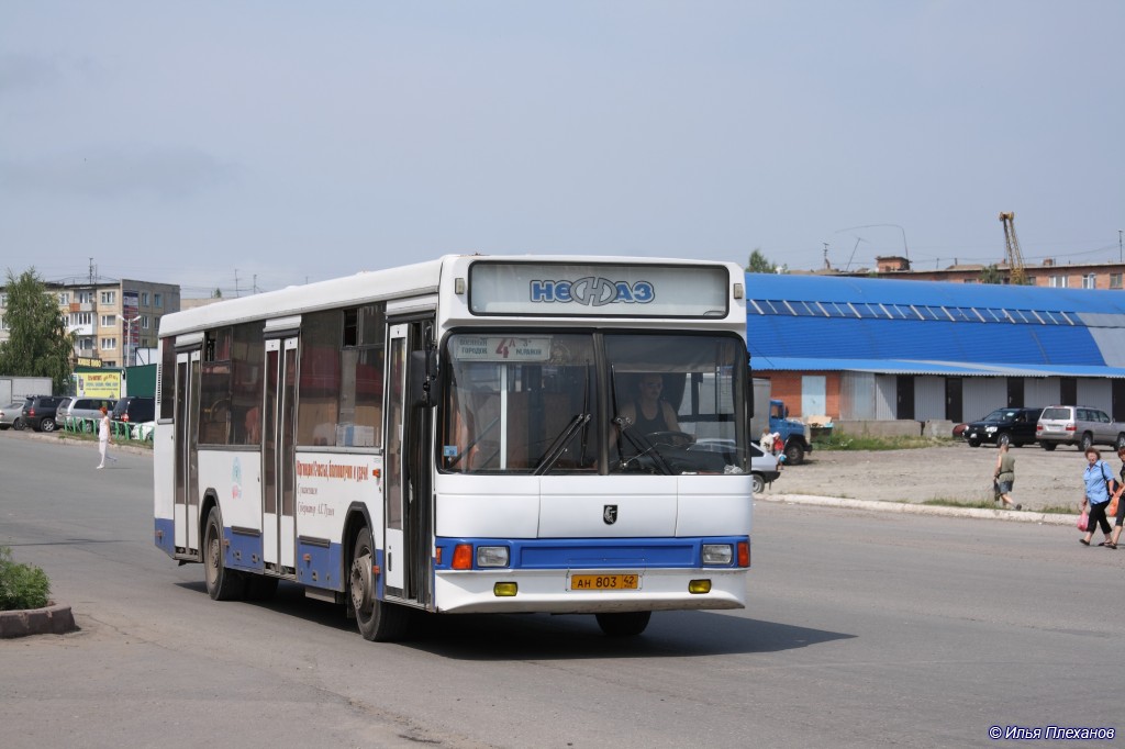 Kemerovo region - Kuzbass, NefAZ-5299 Nr. 176