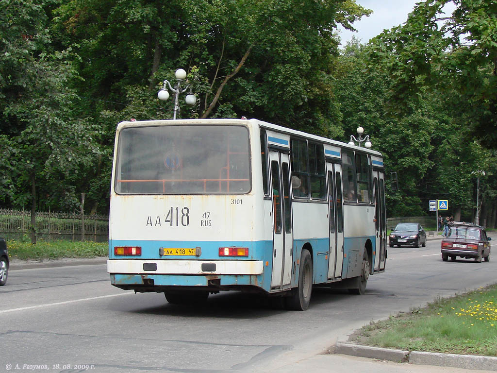 Ленинградская область, Ikarus 263.10 № 3101