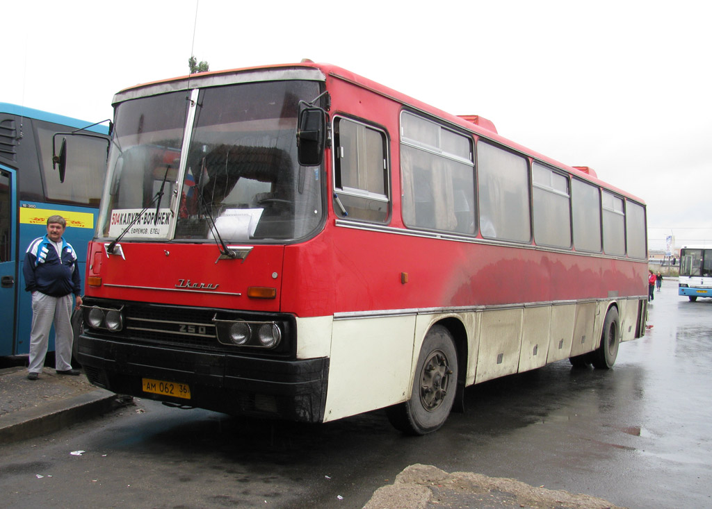 Воронежская область, Ikarus 250.59 № АМ 062 36