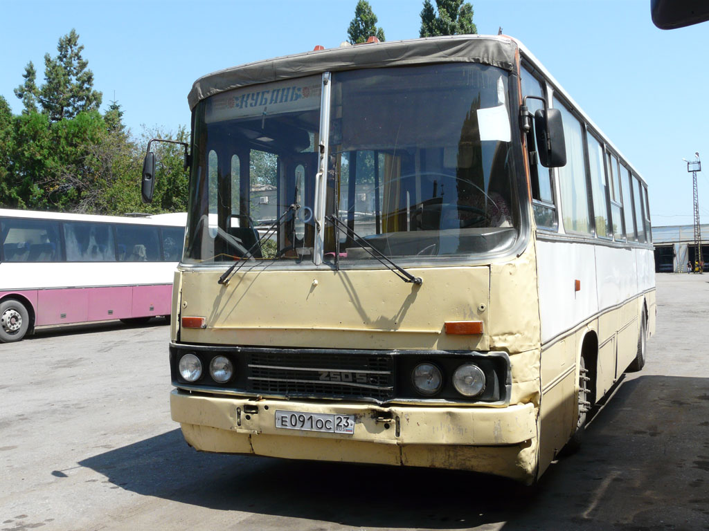 Краснодарский край, Ikarus 260.02 № 599