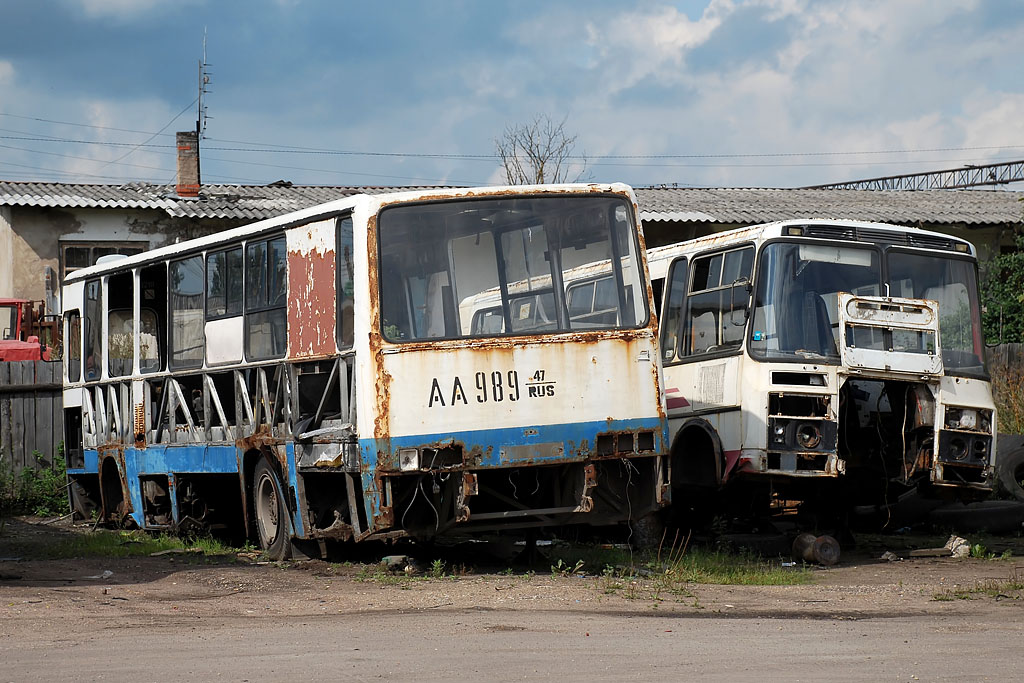 Ленинградская область, Ikarus 263.10 № АА 989 47; Ленинградская область, ПАЗ-3205 (00) № В 118 ОА 47