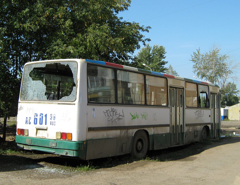 Пермский край, Ikarus 260.43 № АС 601 59