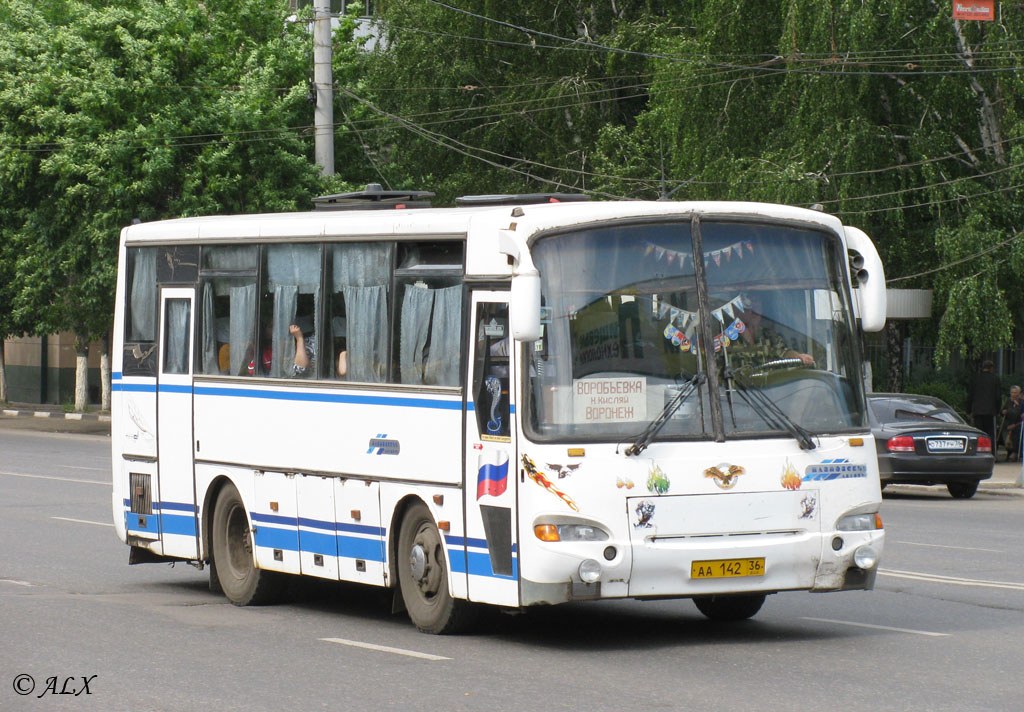 Voronezh region, PAZ-4230-02 # АА 142 36