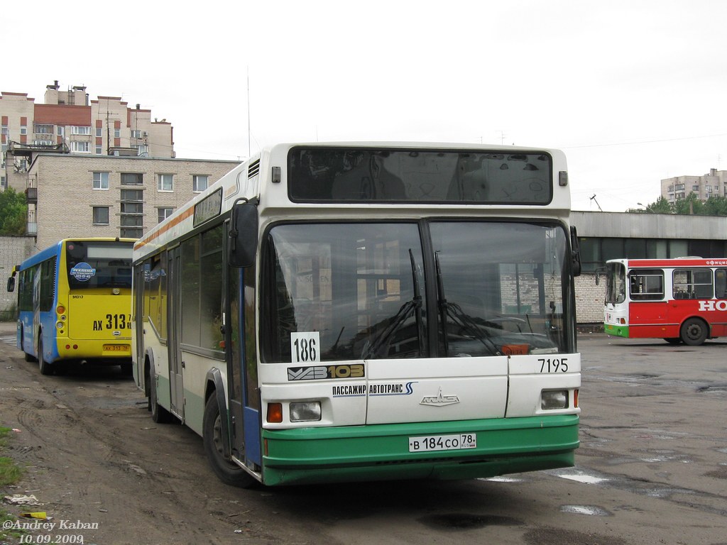 Санкт-Петербург, МАЗ-103.005 № 7195