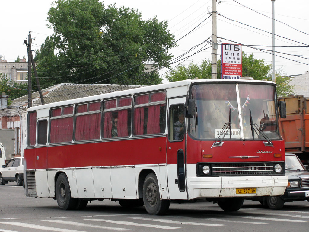 Автобус 55 воронеж. Икарус 256.55. Ikarus-256.55. Икарус 256 порт Крым. Воронеж Тула автобус.