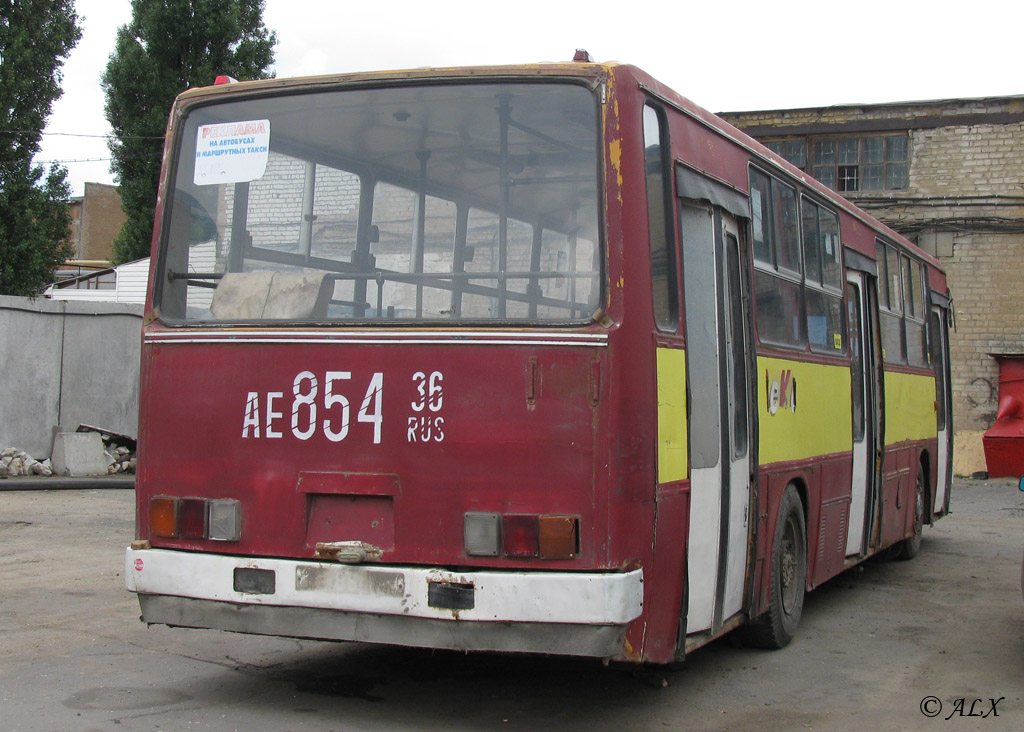 Воронежская область, Ikarus 263.00 № АЕ 854 36