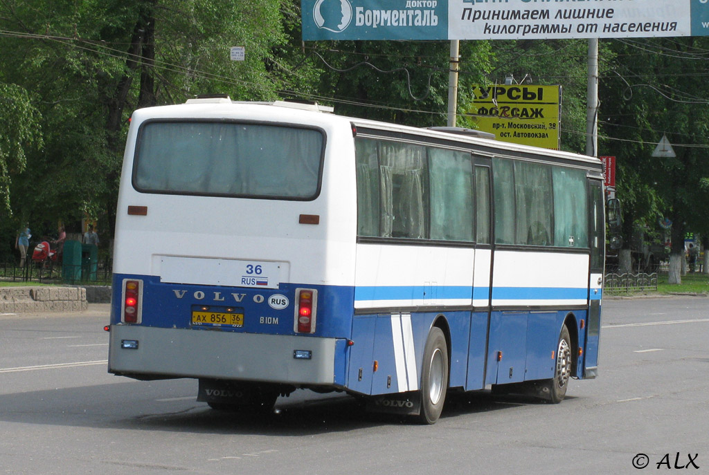 Воронежская область, Van Hool T8 Alizée 260 № АХ 856 36