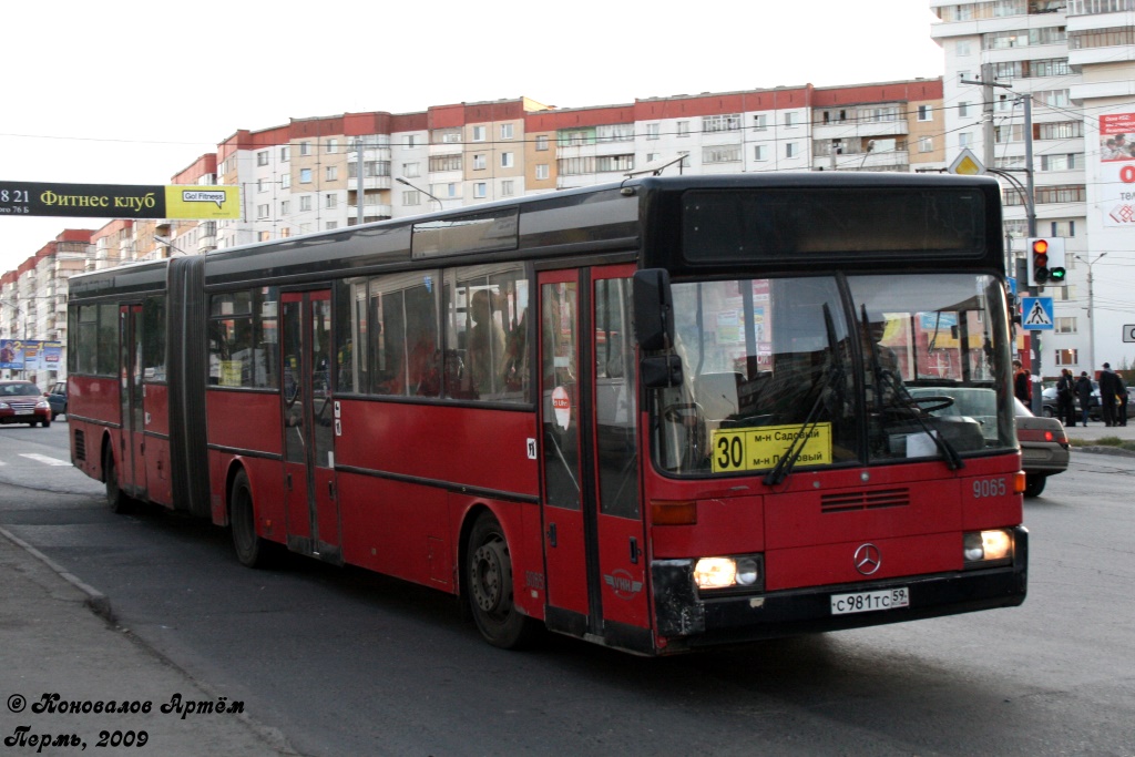 Пермский край, Mercedes-Benz O405G № С 981 ТС 59