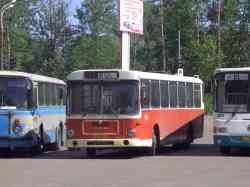 229 КБ